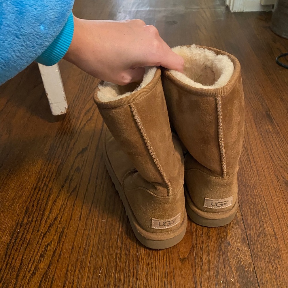 Chestnut Uggs - Picture 5 of 5